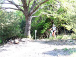 gal/2008/07 - La Via delle Miniere/02_Montorgiali/_thb_montorgiali0040.jpg